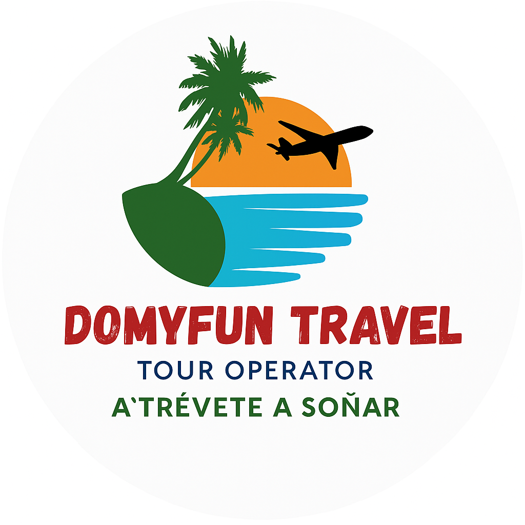 Logo Domyfun Travel